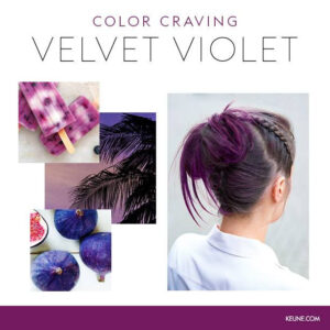 شامپو رنگ بنفش ژله ای کئون KEUNE Color Craving Velvet Violet 150ml