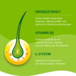 مکمل ضدریزش مو پریورین ۱۲۰ عددی Bayer Priorin Hair Loss Supplement 120 Capsulesv